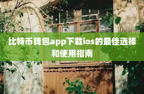 比特币钱包app下载ios的最佳选择和使用指南