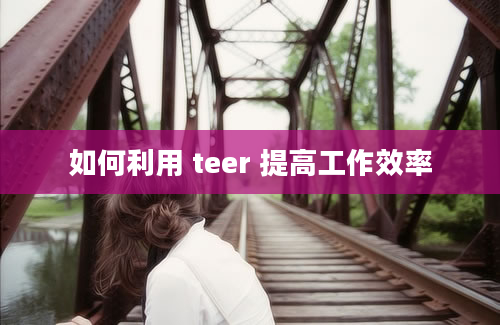 如何利用 teer 提高工作效率