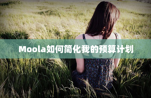 Moola如何简化我的预算计划