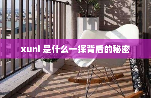 xuni 是什么一探背后的秘密