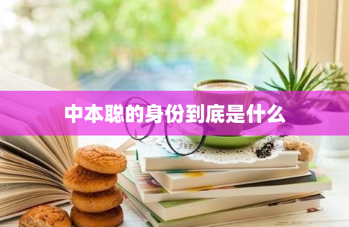 中本聪的身份到底是什么