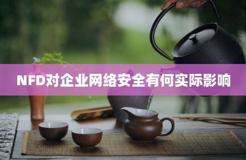 NFD对企业网络安全有何实际影响