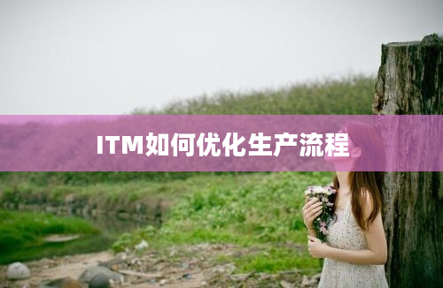 ITM如何优化生产流程