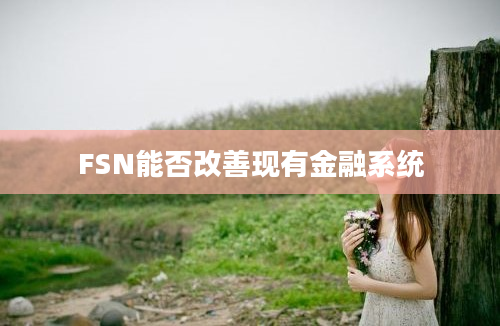 FSN能否改善现有金融系统