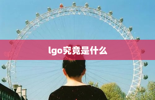 lgo究竟是什么