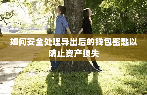 如何安全处理导出后的钱包密匙以防止资产损失