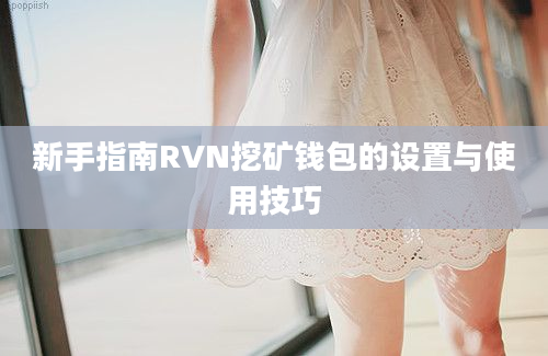 新手指南RVN挖矿钱包的设置与使用技巧