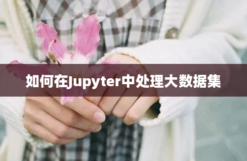 如何在Jupyter中处理大数据集