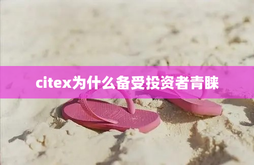 citex为什么备受投资者青睐