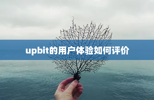 upbit的用户体验如何评价