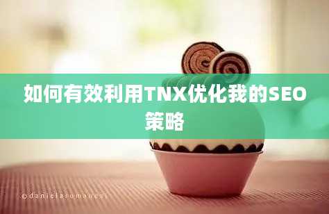 如何有效利用TNX优化我的SEO策略