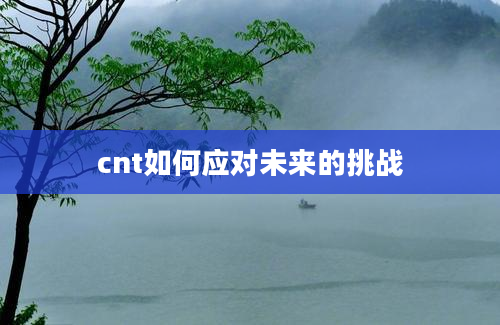 cnt如何应对未来的挑战