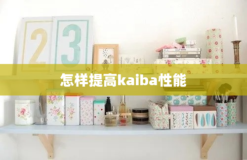 怎样提高kaiba性能