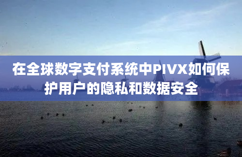 在全球数字支付系统中PIVX如何保护用户的隐私和数据安全