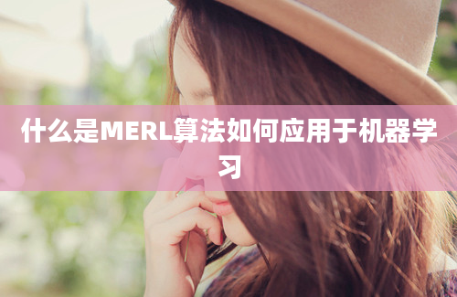 什么是MERL算法如何应用于机器学习