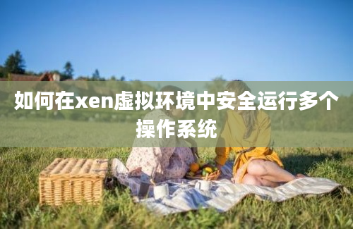 如何在xen虚拟环境中安全运行多个操作系统