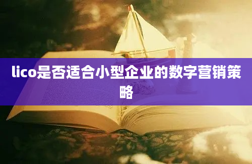 lico是否适合小型企业的数字营销策略