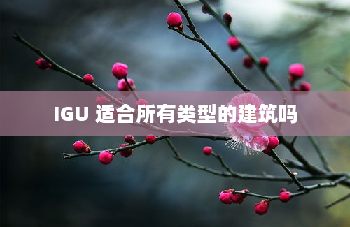 IGU 适合所有类型的建筑吗