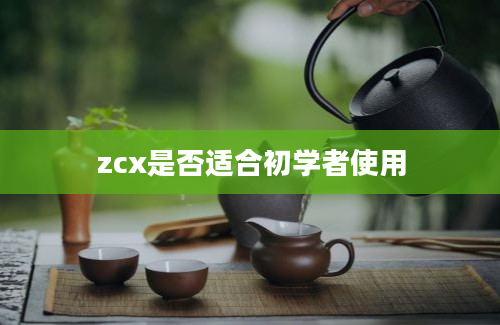 zcx是否适合初学者使用