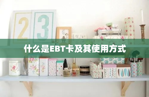 什么是EBT卡及其使用方式