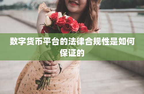 数字货币平台的法律合规性是如何保证的