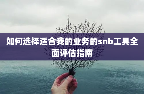 如何选择适合我的业务的snb工具全面评估指南