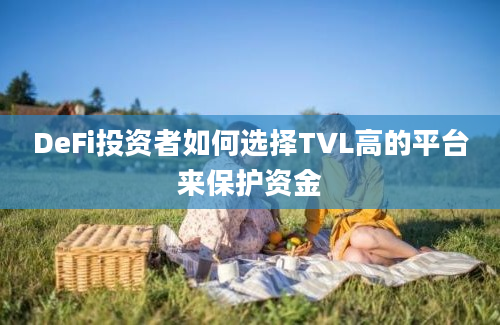 DeFi投资者如何选择TVL高的平台来保护资金