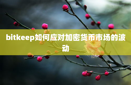 bitkeep如何应对加密货币市场的波动