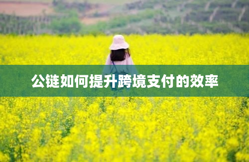 公链如何提升跨境支付的效率