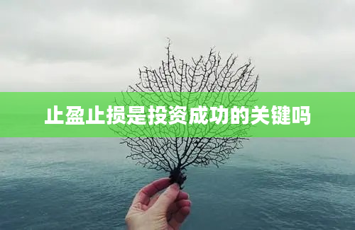 止盈止损是投资成功的关键吗