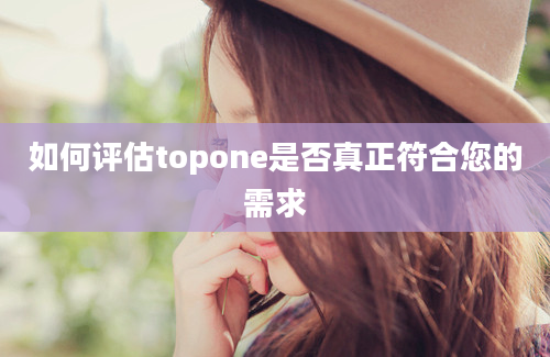 如何评估topone是否真正符合您的需求