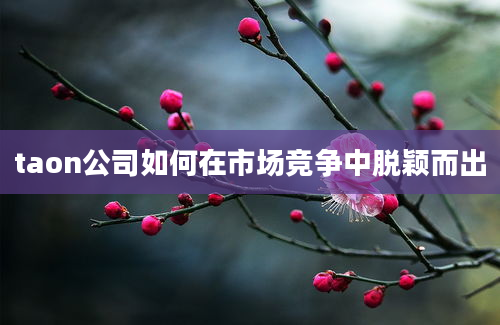 taon公司如何在市场竞争中脱颖而出