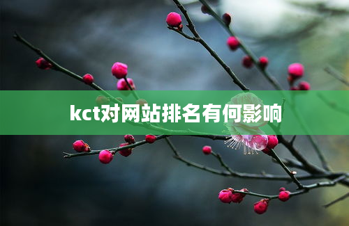 kct对网站排名有何影响