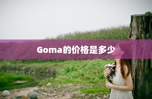 Goma的价格是多少