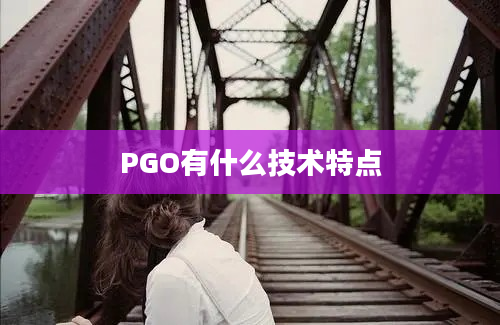 PGO有什么技术特点