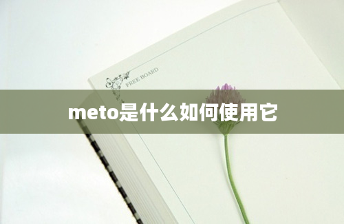 meto是什么如何使用它