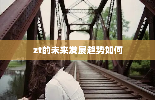 zt的未来发展趋势如何