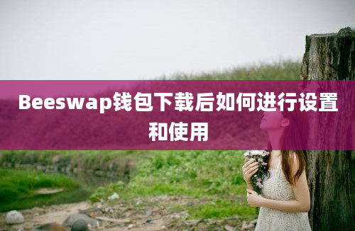 Beeswap钱包下载后如何进行设置和使用