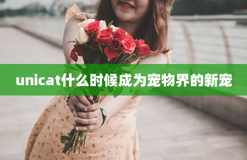 unicat什么时候成为宠物界的新宠