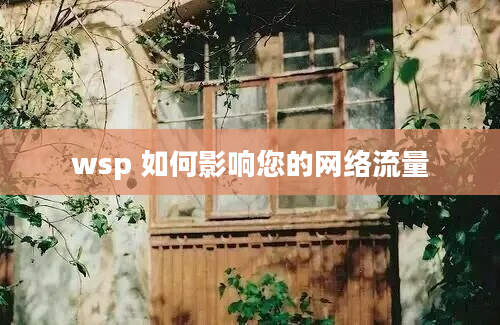 wsp 如何影响您的网络流量