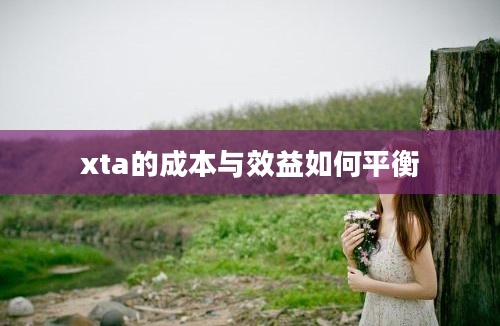 xta的成本与效益如何平衡