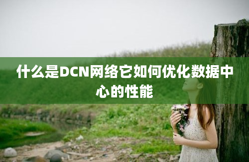 什么是DCN网络它如何优化数据中心的性能