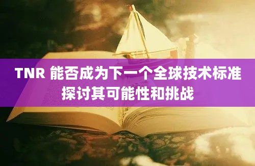 TNR 能否成为下一个全球技术标准探讨其可能性和挑战