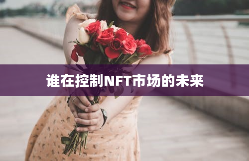 谁在控制NFT市场的未来