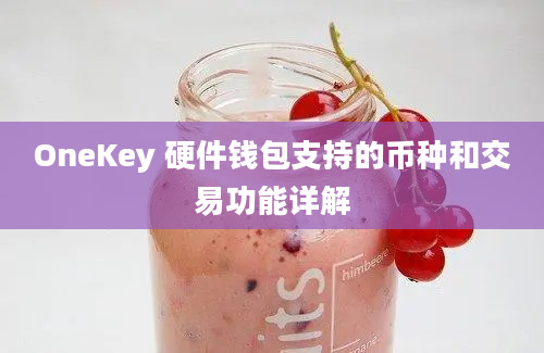 OneKey 硬件钱包支持的币种和交易功能详解