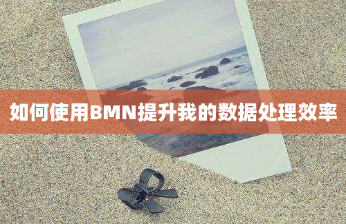 如何使用BMN提升我的数据处理效率