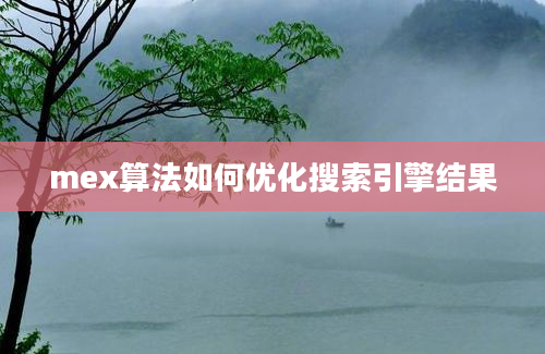 mex算法如何优化搜索引擎结果