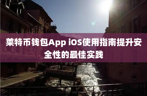 莱特币钱包App iOS使用指南提升安全性的最佳实践