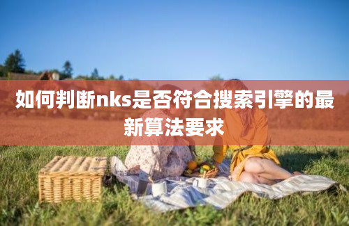 如何判断nks是否符合搜索引擎的最新算法要求