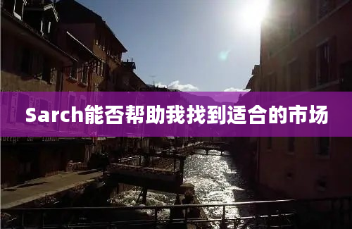 Sarch能否帮助我找到适合的市场